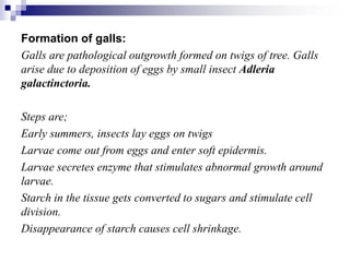 Formation of galls:
Galls are pathological outgrowth formed on twigs of tree. Galls
arise due to deposition of eggs by small insect Adleria
galactinctoria.
Steps are;
Early summers, insects lay eggs on twigs
Larvae come out from eggs and enter soft epidermis.
Larvae secretes enzyme that stimulates abnormal growth around
larvae.
Starch in the tissue gets converted to sugars and stimulate cell
division.
Disappearance of starch causes cell shrinkage.
 