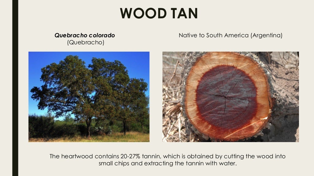 Tannin yielding plants