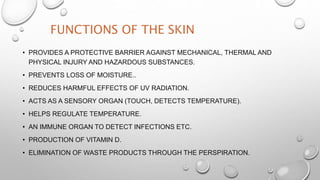FUNCTIONS OF THE SKIN
• PROVIDES A PROTECTIVE BARRIER AGAINST MECHANICAL, THERMAL AND
PHYSICAL INJURY AND HAZARDOUS SUBSTANCES.
• PREVENTS LOSS OF MOISTURE..
• REDUCES HARMFUL EFFECTS OF UV RADIATION.
• ACTS AS A SENSORY ORGAN (TOUCH, DETECTS TEMPERATURE).
• HELPS REGULATE TEMPERATURE.
• AN IMMUNE ORGAN TO DETECT INFECTIONS ETC.
• PRODUCTION OF VITAMIN D.
• ELIMINATION OF WASTE PRODUCTS THROUGH THE PERSPIRATION.
 