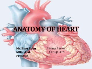ANATOMY OF HEART
Tannu Tanya
Group-4th
Mr. Binu Babu
MBA, Asst.
Professr
 