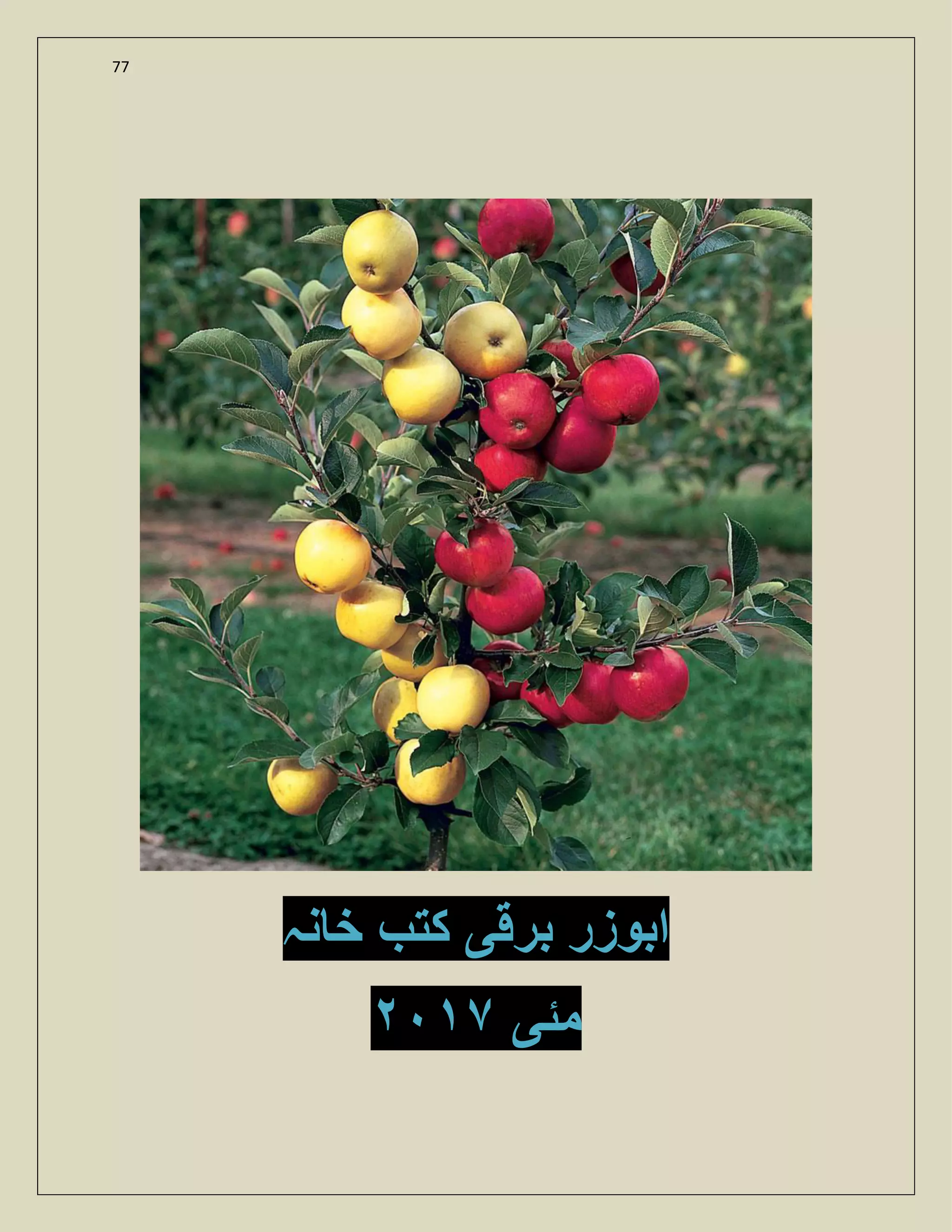 77
‫نہ‬ ‫خ‬ ‫کت‬ ‫برقی‬ ‫ابوزر‬
٧ ‫مئی‬
 