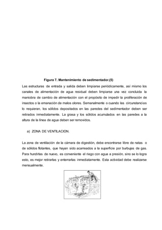Figura 7. Mantenimiento de sedimentador.(5)
Las estructuras de entrada y salida deben limpiarse periódicamente, así mismo los
canales de alimentación de agua residual deben limpiarse una vez concluida la
maniobra de cambio de alimentación con el propósito de impedir la proliferación de
insectos o la emanación de malos olores. Semanalmente o cuando las circunstancias
lo requieran, los sólidos depositados en las paredes del sedimentador deben ser
retirados inmediatamente. La grasa y los sólidos acumulados en las paredes a la
altura de la línea de agua deben ser removidos.
a) ZONA DE VENTILACION.
La zona de ventilación de la cámara de digestión, debe encontrarse libre de natas o
de sólidos flotantes, que hayan sido acarreados a la superficie por burbujas de gas.
Para hundirlas de nuevo, es conveniente el riego con agua a presión, sino se lo logra
esto, es mejor retirarlas y enterrarlas inmediatamente. Esta actividad debe realizarse
mensualmente.
 
