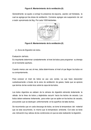 Figura 8. Mantenimiento de la ventilación.(5)
Generalmente se ayuda a corregir la presencia de espuma, usando cal hidratada, la
cual se agrega por las áreas de ventilación. Conviene agregar una suspensión de cal
a razón aproximada de 5kg. Por cada 1000habitantes.
Figura 9. Mantenimiento de la ventilación.(5)
c) Zona de Digestión de lodos.
Evaluación del lodo.
Es importante determinar constantemente el nivel de lodos para programar su drenaje
en el momento oportuno.
Cuando menos una vez al mes, debe determinarse el nivel al que llegan los lodos en
su comportamiento.
Para conocer el nivel de lodos se usa una sonda. La que hace descender
cuidadosamente a través de la zona de ventilación de gases, hasta que se aprecie
que lamina de las sonda toca sobre la capa de los lodos.
Los lodos digeridos se extraen de la cámara de digestión abriendo lentamente la
válvula de la línea de lodos y dejándolos escurrir hacia los lechos de secado. Los
lodos deben extraerse lentamente, para evitar que se apilen en los lechos de secado,
procurando que se destruyan uniformemente en la superficie de tales lechos.
Se recomienda que en cada descarga de lodos, se tome la temperatura del material
que se esta escurriendo, lo mismo que la temperatura ambiente. Con esto se tiene
una indicación muy valiosa de las condiciones en que se esta realizando la digestión.
 