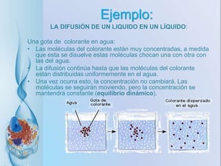 Ejemplo:
LA DIFUSIÓN DE UN LIQUIDO EN UN LÍQUIDO:
Una gota de colorante en agua:
• Las moléculas del colorante están muy concentradas, a medida
que esta se disuelve estas moléculas chocan una con otra con
las del agua.
• La difusión continúa hasta que las moléculas del colorante
están distribuidas uniformemente en el agua.
• Una vez ocurra esto, la concentración no cambiará. Las
moléculas se seguirán moviendo, pero la concentración se
mantendrá constante (equilibrio dinámico).
 