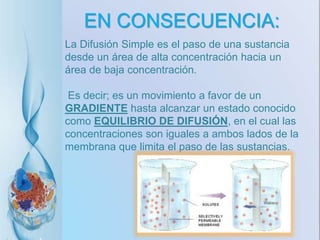 EN CONSECUENCIA:
La Difusión Simple es el paso de una sustancia
desde un área de alta concentración hacia un
área de baja concentración.
Es decir; es un movimiento a favor de un
GRADIENTE hasta alcanzar un estado conocido
como EQUILIBRIO DE DIFUSIÓN, en el cual las
concentraciones son iguales a ambos lados de la
membrana que limita el paso de las sustancias.
 