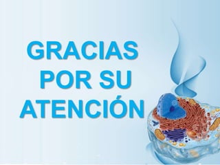 GRACIAS
POR SU
ATENCIÓN
 