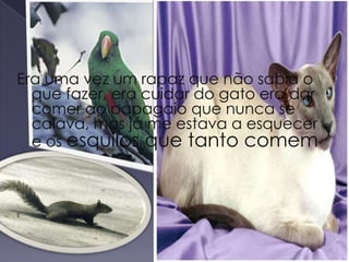 Era uma vez um rapaz que não sabia o que fazer, era cuidar do gato era dar comer ao papagaio que nunca se calava, mas já me estava a esquecer e os esquilos que tanto comemE