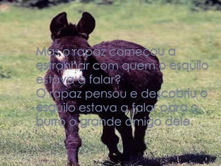 Mas o rapaz começou a estranhar com quem o esquilo estava a falar? O rapaz pensou e descobriu o esquilo estava a falar para o burro o grande amigo dele.