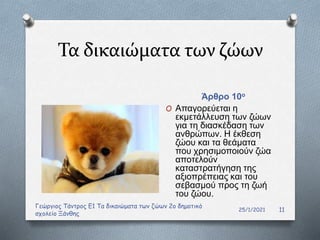 Τα δικαιώματα των ζώων
Άρθρο 10ο
O Απαγορεύεται η
εκμετάλλευση των ζώων
για τη διασκέδαση των
ανθρώπων. Η έκθεση
ζώου και τα θεάματα
που χρησιμοποιούν ζώα
αποτελούν
καταστρατήγηση της
αξιοπρέπειας και του
σεβασμού προς τη ζωή
του ζώου.
25/1/2021
Γεώργιος Τάντρος Ε1 Τα δικαιώματα των ζώων 2ο δημοτικό
σχολείο Ξάνθης
11
 
