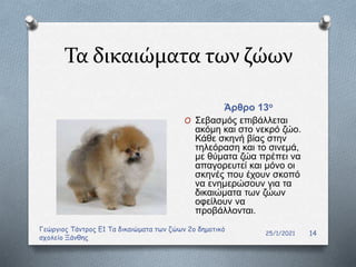 Τα δικαιώματα των ζώων
Άρθρο 13ο
25/1/2021
Γεώργιος Τάντρος Ε1 Τα δικαιώματα των ζώων 2ο δημοτικό
σχολείο Ξάνθης
14
O Σεβασμός επιβάλλεται
ακόμη και στο νεκρό ζώο.
Κάθε σκηνή βίας στην
τηλεόραση και το σινεμά,
με θύματα ζώα πρέπει να
απαγορευτεί και μόνο οι
σκηνές που έχουν σκοπό
να ενημερώσουν για τα
δικαιώματα των ζώων
οφείλουν να
προβάλλονται.
 