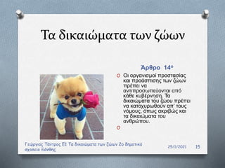 Τα δικαιώματα των ζώων
Άρθρο 14ο
25/1/2021
Γεώργιος Τάντρος Ε1 Τα δικαιώματα των ζώων 2ο δημοτικό
σχολείο Ξάνθης
15
O Οι οργανισμοί προστασίας
και προάσπισης των ζώων
πρέπει να
αντιπροσωπεύονται από
κάθε κυβέρνηση. Τα
δικαιώματα του ζώου πρέπει
να κατοχυρωθούν απ’ τους
νόμους, όπως ακριβώς και
τα δικαιώματα του
ανθρώπου.
O
 