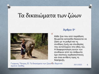 Τα δικαιώματα των ζώων
Άρθρο 5ο
25/1/2021
Γεώργιος Τάντρος Ε1 Τα δικαιώματα των ζώων 2ο δημοτικό
σχολείο Ξάνθης
6
O
Κάθε ζώο που από παράδοση
θεωρείται κατοικίδιο δικαιούται να
ζήσει με το ρυθμό και τις
συνθήκες ζωής και ελευθερίας
που αντιστοιχούν στο είδος του.
Η διαφοροποίηση αυτών των
συνθηκών από τον άνθρωπο
έχει σκοπούς κερδοσκοπικούς
και είναι αντίθετη προς τη
διακήρυξη.
O
 