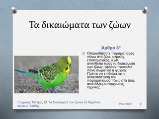 Τα δικαιώματα των ζώων
Άρθρο 8ο
25/1/2021
Γεώργιος Τάντρος Ε1 Τα δικαιώματα των ζώων 2ο δημοτικό
σχολείο Ξάνθης
9
O Οποιοσδήποτε πειραματισμός
πάνω στα ζώα, ιατρικός,
επιστημονικός, κ.λπ.
αντιτίθεται προς τα δικαιώματα
των ζώων, εφόσον προκαλεί
πόνο σωματικό ή ψυχικό.
Πρέπει να επιδιώκεται η
αντικατάσταση του
πειραματισμού πάνω στα ζώα,
από άλλες υπάρχουσες
τεχνικές.
 