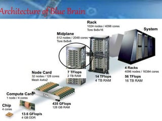 Architecture of Blue Brain
 