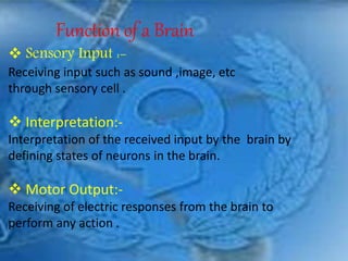 Function of a Brain
 Sensory Input :-
Receiving input such as sound ,image, etc
through sensory cell .
 Interpretation:-
Interpretation of the received input by the brain by
defining states of neurons in the brain.
 Motor Output:-
Receiving of electric responses from the brain to
perform any action .
 