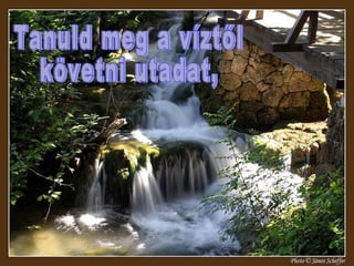 Tanuld meg a víztől  követni utadat, 