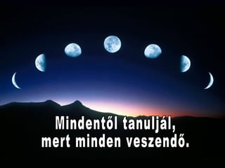 Mindentől tanuljál,  mert minden veszendő. 