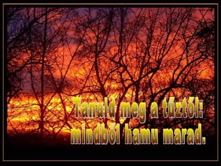 Tanuld meg a tűztől:  mindből hamu marad. 