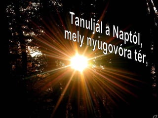 Tanuljál a Naptól,  mely nyugovóra tér,  