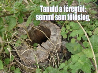 Tanuld a féregtől:  semmi sem fölösleg,  