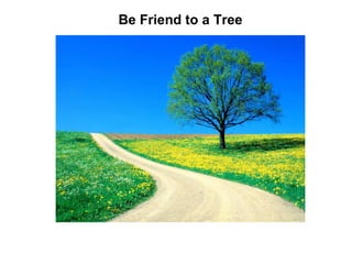 Be Friend to a Tree 