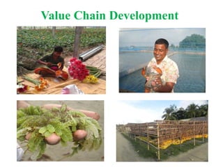 Value Chain Development
 