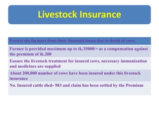 Livestock Insurance
Protect the farmers from their financial losses due to death of cows
Farmer is provided maximum up to tk.35000/= as a compensation against
the premium of tk.200
Ensure the livestock treatment for insured cows, necessary immunization
and medicines are supplied
About 200,000 number of cows have been insured under this livestock
insurance
No. Insured cattle died- 983 and claim has been settled by the Premium
 