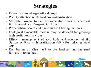 Strategies
• Diversification of Agricultural crops
• Priority attention in planned crop intensification
• Motivate farmers to use recommended doses of chemical
fertilizer and use of organic fertilizer
• Proper utilization of soil guide and soil testing facilities
• Ecological favourable months may be devoted for growing
high profit non rice crops
• Efficient management of seed beds and adoption of the
System of Rice in Intensification (SRI) for reducing yield
gap
• Distribution of Khas land to the landless and marginal
farmers in rental basis
 