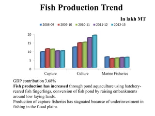 Fish Production Trend
In lakh MT
0
5
10
15
20
Capture Culture Marine Fisheries
2008-09 2009-10 2010-11 2011-12 2012-13
GDP contribution 3.68%
Fish production has increased through pond aquaculture using hatchery-
reared fish fingerlings, conversion of fish pond by raising embankments
around low laying lands.
Production of capture fisheries has stagnated because of underinvestment in
fishing in the flood plains
 