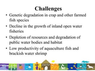 Challenges
• Genetic degradation in crap and other farmed
fish species
• Decline in the growth of inland open water
fisheries
• Depletion of resources and degradation of
public water bodies and habitat
• Low productivity of aquaculture fish and
brackish water shrimp
 