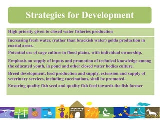 Strategies for Development
High priority given to closed water fisheries production
Increasing fresh water, (rather than brackish water) golda production in
coastal areas.
Potential use of cage culture in flood plains, with individual ownership.
Emphasis on supply of inputs and promotion of technical knowledge among
the educated youth, in pond and other closed water bodies culture.
Breed development, feed production and supply, extension and supply of
veterinary services, including vaccinations, shall be promoted.
Ensuring quality fish seed and quality fish feed towards the fish farmer
 