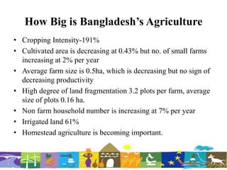 How Big is Bangladesh’s Agriculture
• Cropping Intensity-191%
• Cultivated area is decreasing at 0.43% but no. of small farms
increasing at 2% per year
• Average farm size is 0.5ha, which is decreasing but no sign of
decreasing productivity
• High degree of land fragmentation 3.2 plots per farm, average
size of plots 0.16 ha.
• Non farm household number is increasing at 7% per year
• Irrigated land 61%
• Homestead agriculture is becoming important.
 