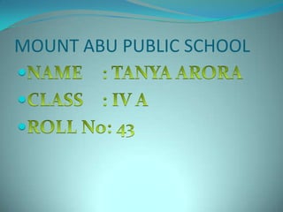 MOUNT ABU PUBLIC SCHOOL



 