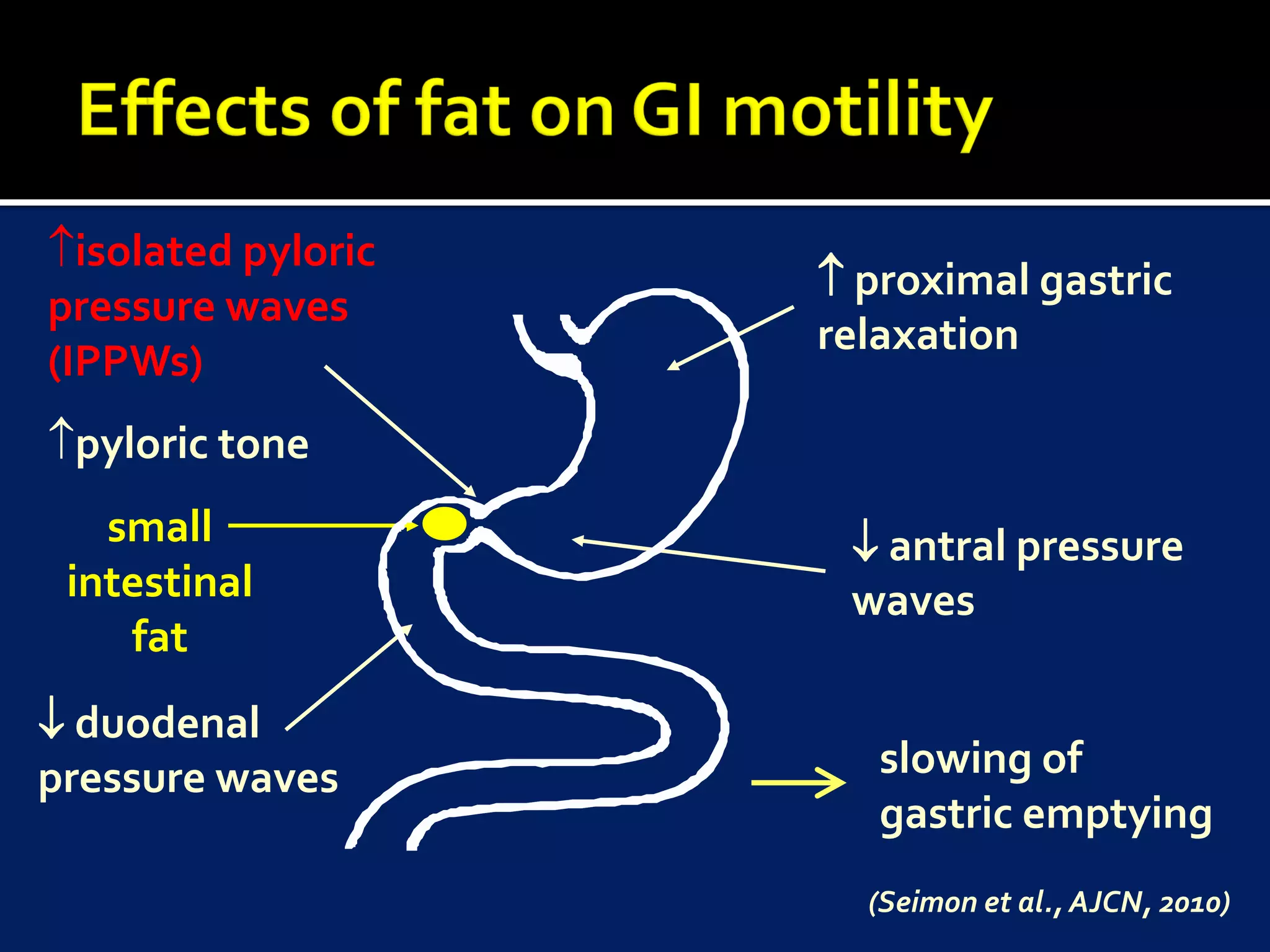 isolated pyloric
                     proximal gastric
pressure waves
                    relaxation
(IPPWs)
pyloric tone
   small              antral pressure
 intestinal          waves
    fat
 duodenal
pressure waves         slowing of
                       gastric emptying
                      (Seimon et al., AJCN, 2010)
 
