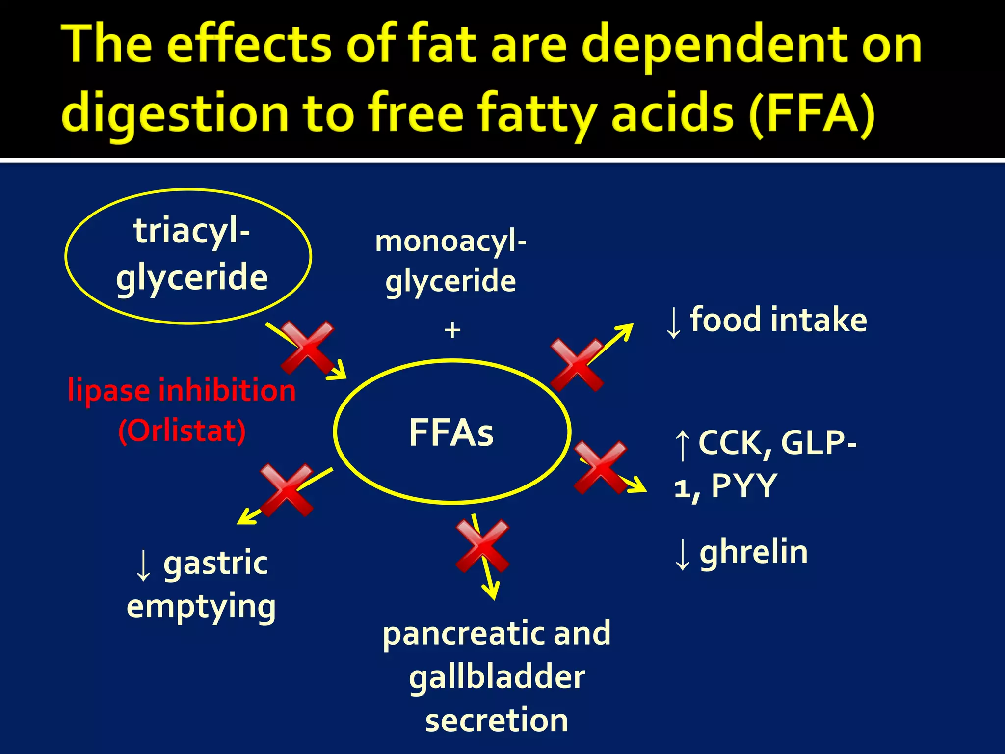 triacyl-        monoacyl-
   glyceride        glyceride
                                      ↓ Food intake
                                      ↓ food intake
                       +
lipase inhibition
    (Orlistat)       FFAs             ↑ CCK, GLP-1,
                                       ↑ CCK, GLP-
                                      PYY
                                       1, PYY

    ↓ gastric                         ↓ ghrelin
                                       ↓ ghrelin
    emptying         Pancreatic and
                    pancreatic and
                       gallbladder
                     gallbladder
                        secretion
                      secretion
 