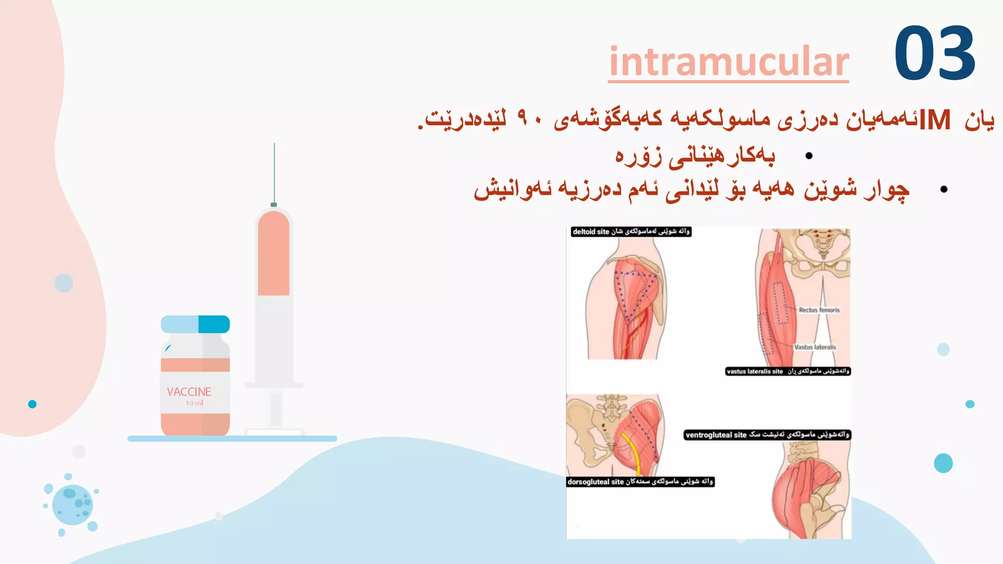 intramucular
‫یان‬
IM
‫کەبەگۆشەی‬ ‫ماسولکەیە‬ ‫دەرزی‬ ‫ئەمەیان‬
۹۰
‫لێدەدرێت‬
.
03
•
‫زۆرە‬ ‫بەکارهێنانی‬
•
‫ئەوانیش‬ ‫دەرزیە‬ ‫ئەم‬ ‫لێدانی‬ ‫بۆ‬ ‫هەیە‬ ‫شوێن‬ ‫چوار‬
 