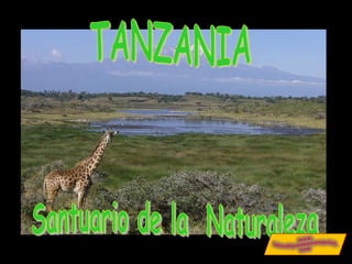 Santuario de la  Naturaleza TANZANIA 