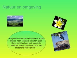 Natuur en omgeving Als je een avonturier bent dan kan je het Besten naar Tanzania op safari gaan  Dat is echt heel erg leuk omdat de  Meesten planten niet in de beurt van Nederland voor komen.  