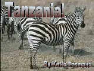 Tanzania Tanzania! By Katie Pasmans 