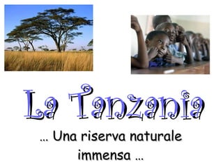 La Tanzania …  Una riserva naturale immensa … 