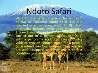 Ndoto Safari
We are the experts for your exclusive dream
holiday in Tanzania! Ndoto Safari Ltd is a
licensed safari company under (TTB) based
in Arusha Tanzania with good experience.
The exclusive all type of safaris and tours are
carried out in a Toyota Landcruiser (4x4)
with a panorama roof. The cross country
vehicles provide enough space for 6 people
(guaranteed window seating). The vehicles
are well equipped, and they are in perfect
condition to guarantee your Trip in Tanzania.
 