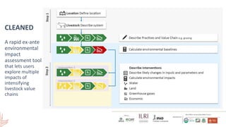 Smallholder dairy development and environmental impacts in Tanzania