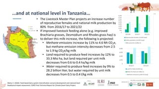 Smallholder dairy development and environmental impacts in Tanzania