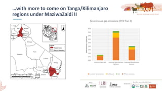 Smallholder dairy development and environmental impacts in Tanzania