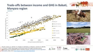 Smallholder dairy development and environmental impacts in Tanzania