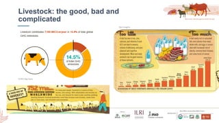 Smallholder dairy development and environmental impacts in Tanzania