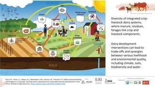 Smallholder dairy development and environmental impacts in Tanzania