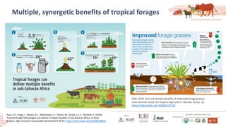 Smallholder dairy development and environmental impacts in Tanzania