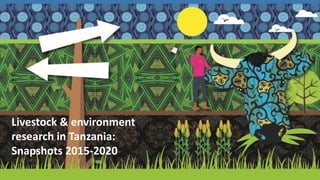 Smallholder dairy development and environmental impacts in Tanzania
