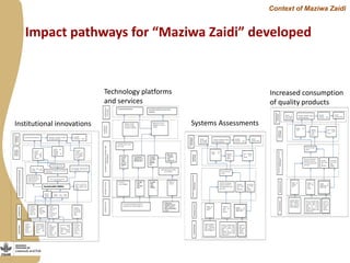 Maziwa Zaidi: From impact pathways to theory of change